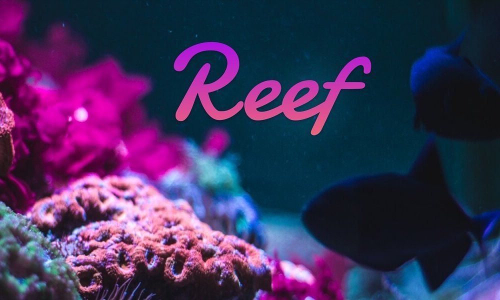 Криптовалюта Reef: сравнение, преимущества, график, прогноз